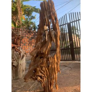 Huge Red Driftwood | 01