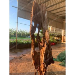 Huge Red Driftwood | 02