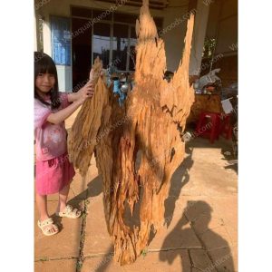 Huge Red Driftwood | 03