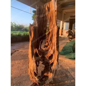 Huge Red Driftwood | 04