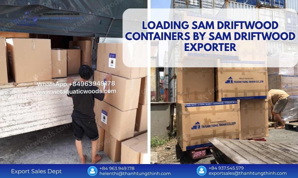 oading sam driftwood containers exporter 1