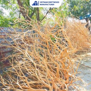 Premium Manzanita Woods for Aquascape - Multiple Sizes - Factory Direct