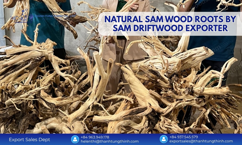 raw natural sam driftwood pieces exporter 1