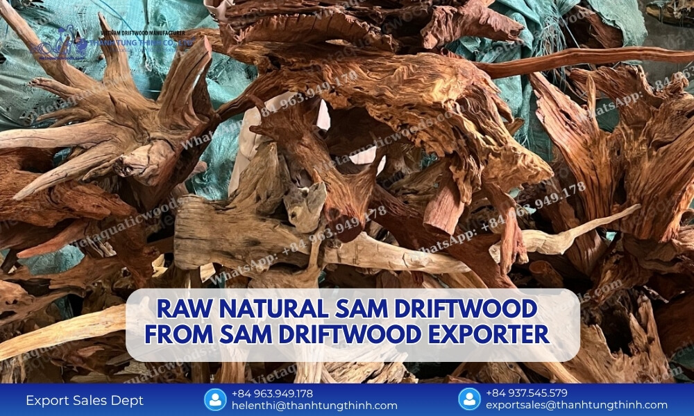 raw sam driftwood wholesale supplier 1 1
