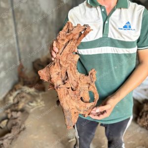 Red Mangrove Driftwood | 06