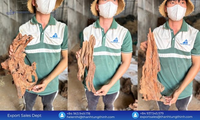 Sam Driftwood Factory Direct Supplier – Get the Best Factory Prices