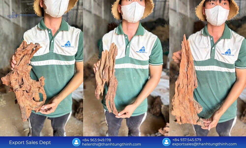 Sam Driftwood Factory Direct Supplier – Get the Best Factory Prices