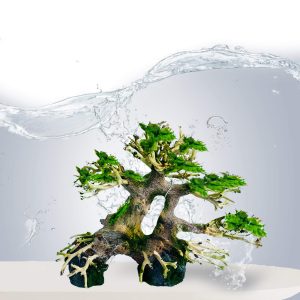 Aquarium Bonsai Driftwoods