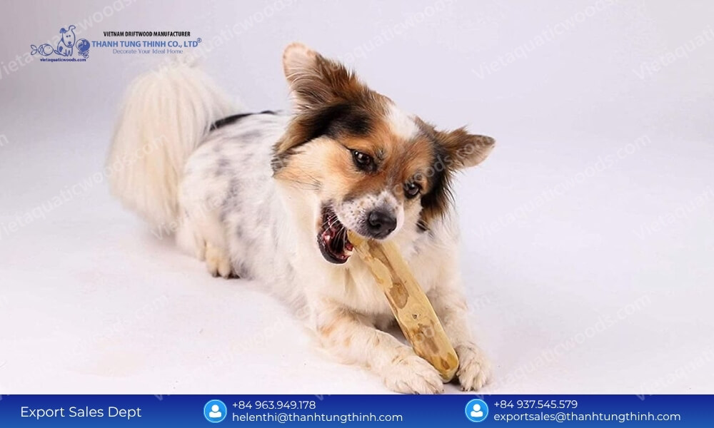 Best Coffee Wood Dog Chew Options for Heavy Chewers