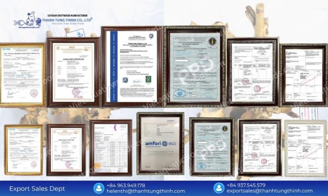 Certified Reliable Kimchi Driftwood Supplier for International Distributors