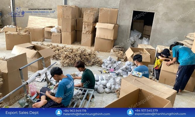 Factory Direct Sanda Driftwood Exporter from Vietnam for International Importers
