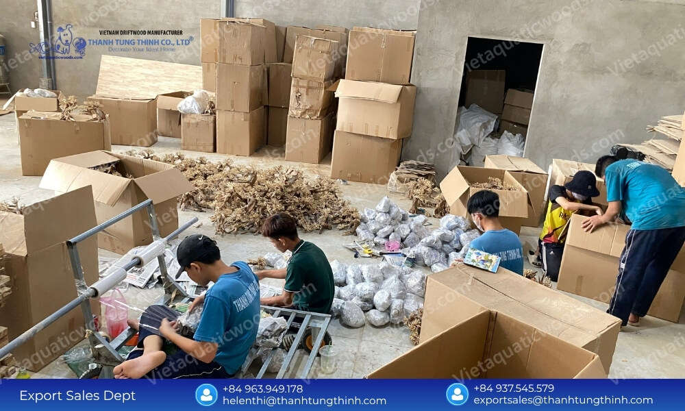 Factory Direct Sanda Driftwood Exporter from Vietnam for International Importers