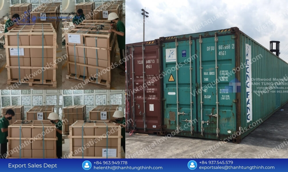 Global Sanda Driftwood Exporter: Safe Palletized Worldwide Delivery
