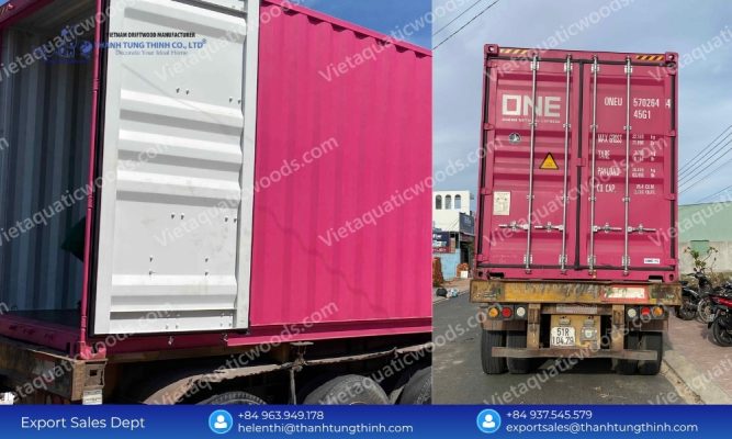 International Sanda Driftwood Distributor: Bulk Container Supply