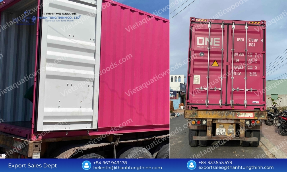 International Sanda Driftwood Distributor: Bulk Container Supply