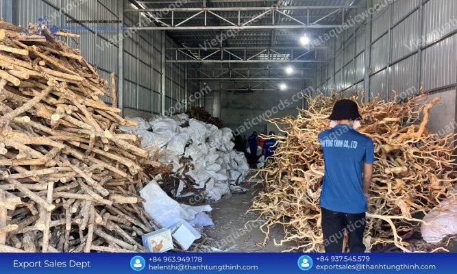 Leading Sanda Driftwood Manufacturer: Large-Scale OEM/ODM Supply