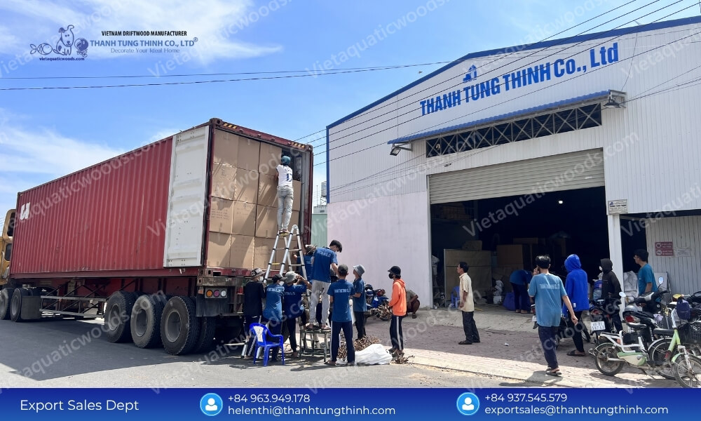 Reliable Sanda Driftwood Manufacturer with Large Production Capacity Stock