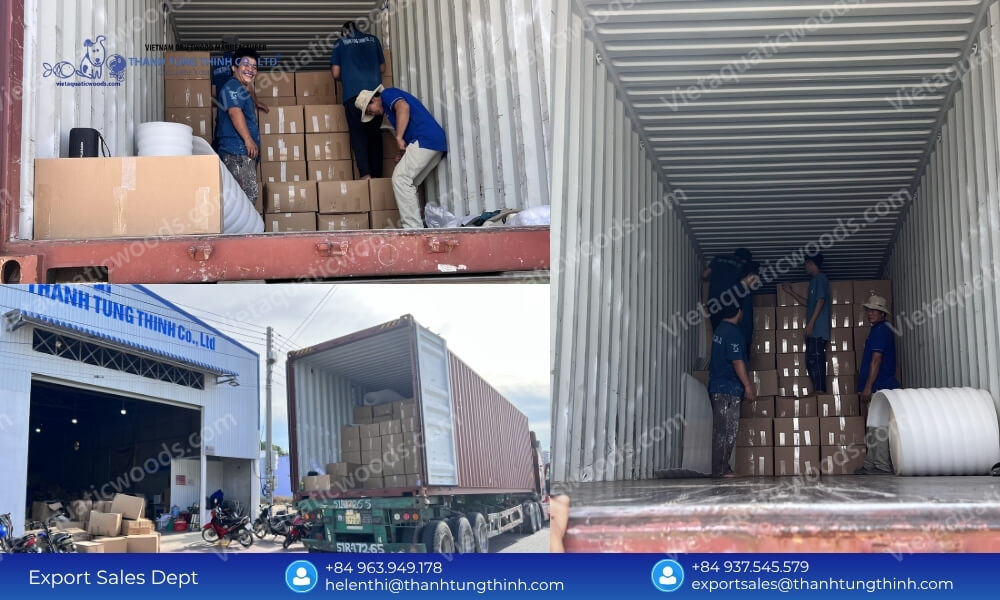 Reliable Sanda Driftwood Supplier for International Distributors with Stable Supply