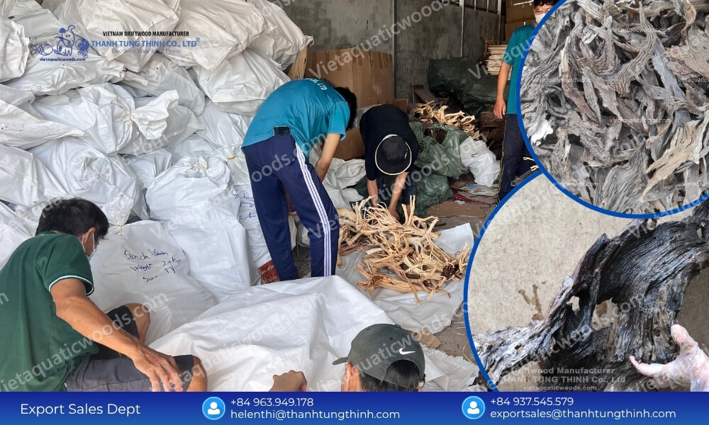 Reliable Sanda Driftwood Supplier: Bulk Container Orders Welcome