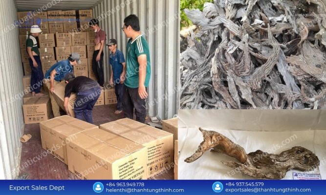 Sanda Driftwood Bulk Buy: Secure Pallet Shipping & Low Freight Rates