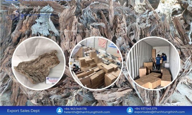 Save Big with a Direct Factory Sanda Driftwood Bulk Supplier