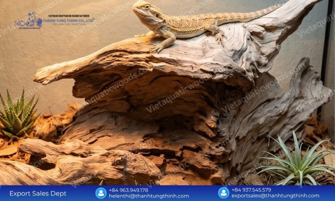 Toxin Free Sanda Driftwood for Pet Industry Wholesale Cargo Supply