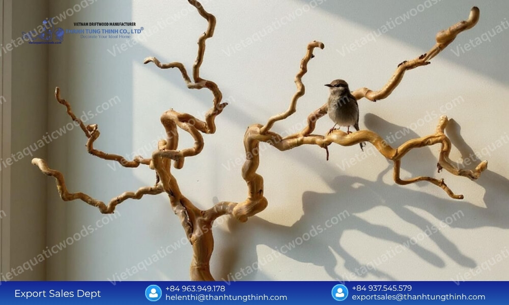 A small bird sitting on a highly textured and twisted wall-mounted coffee wood bird perch