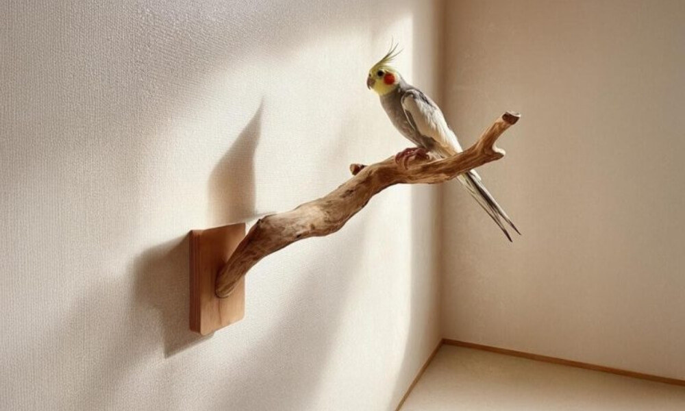 bulk bird perch supplies manufacturer industrial scale large volume pet toy supplier
