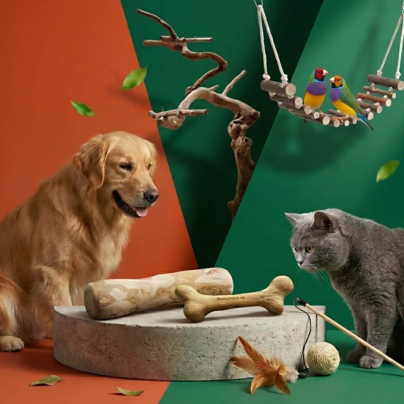 Pet-Bird Products From Coffee Wood