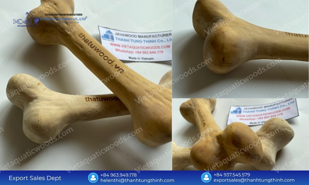 Close-up look at an ergonomic bone style large coffee wood dog chew from a certified manufacturer