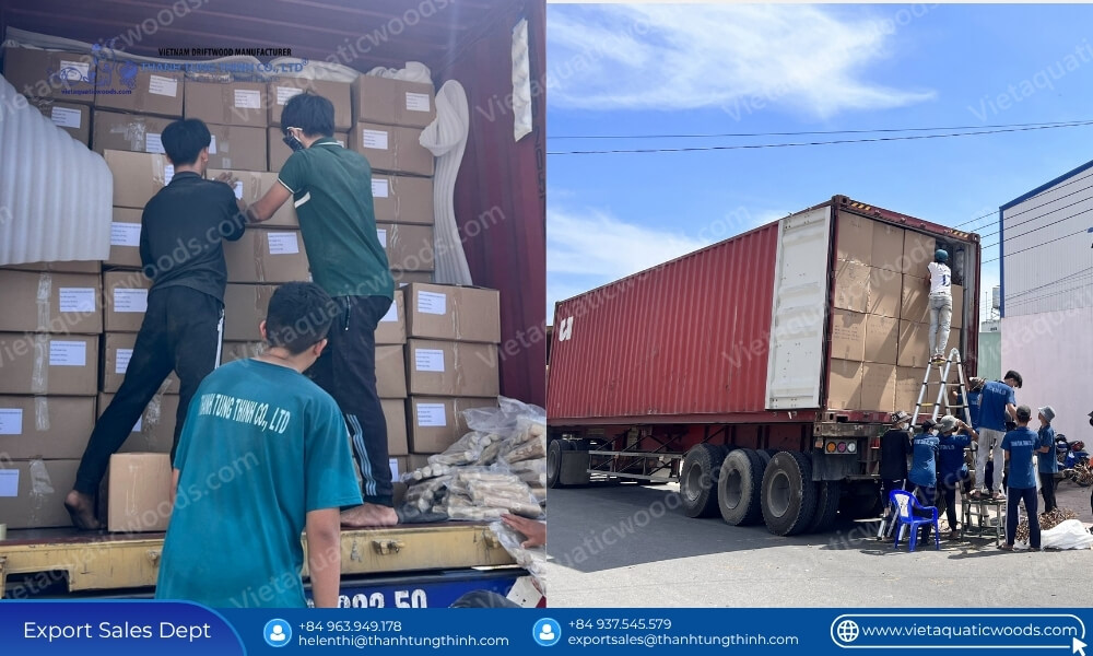 Workers loading cartons of splinter resistant coffee wood dog chews into export container