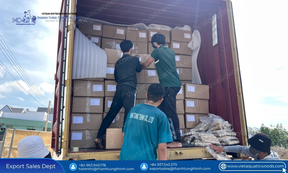 Secure container loading and shipping of wholesale extra large coffee wood dog chew orders