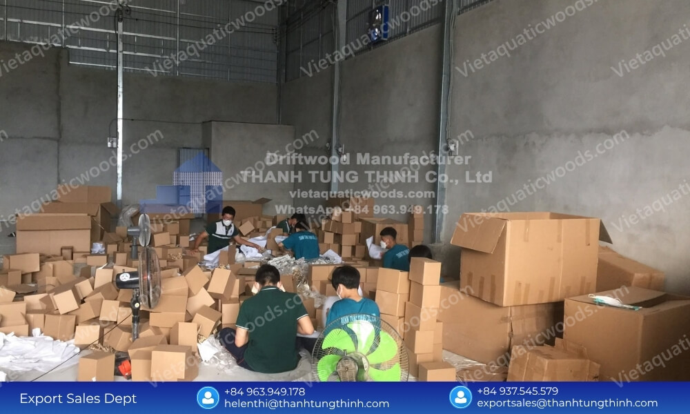 Production line workers packing retail boxes demonstrating a large scale coffee wood pet products factory capacity