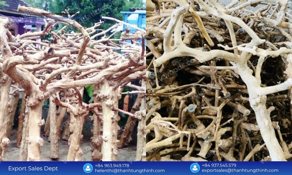 Premium coffee wood branches ready for mechanical processing into wholesale pet bird accessories
