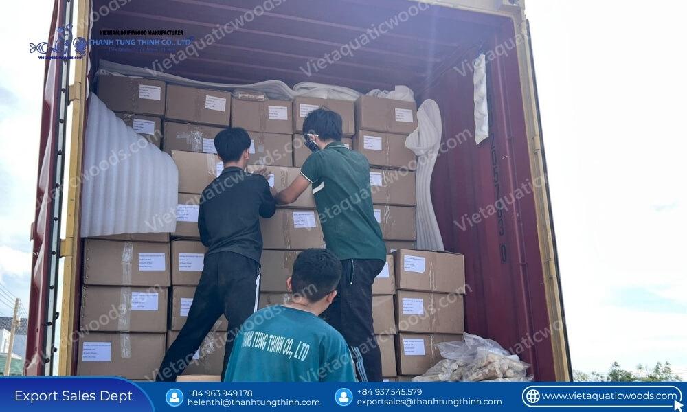 Workers loading export boxes into a shipping container at a bulk pet supplies coffee wood chew factory