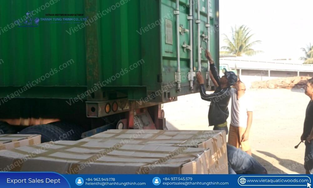 Loading containers for global export when you source coffee wood dog chews from Vietnam