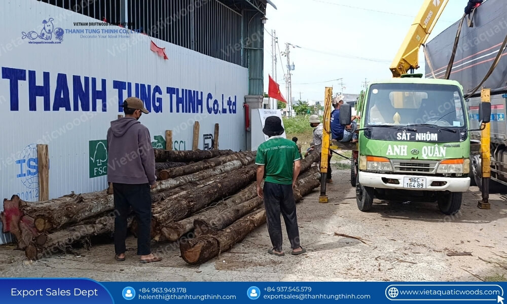 factory loading raw logs for custom sizing mix wholesale coffee wood hides hideouts production