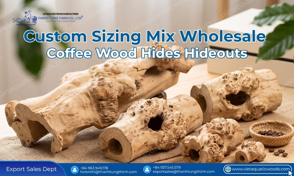 custom sizing mix wholesale coffee wood hides hideouts display on wooden table