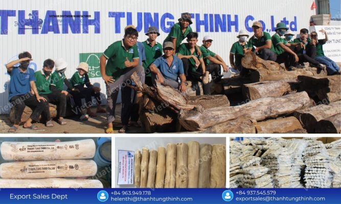 Premium coffee wood dog chew manufacturer Thanh Tung Thinh factory workers and organic pet toys production line