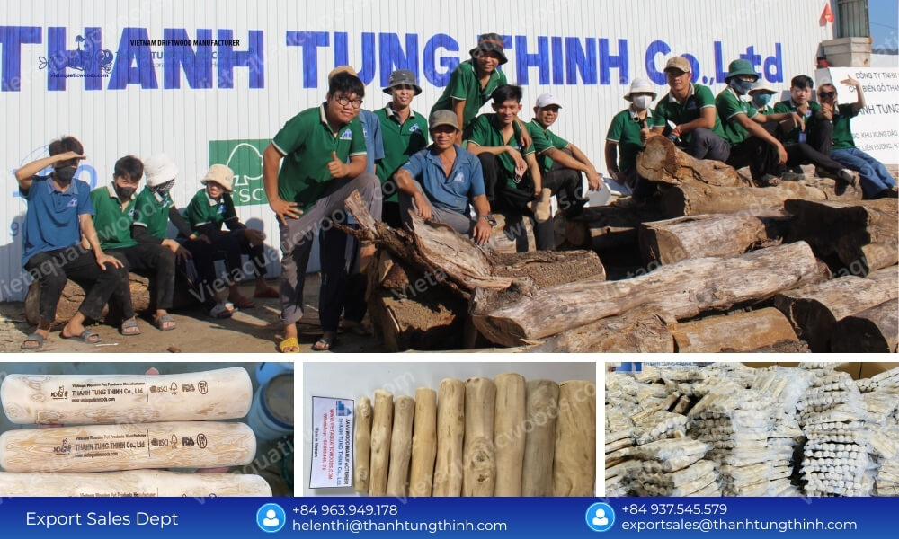 Premium coffee wood dog chew manufacturer Thanh Tung Thinh factory workers and organic pet toys production line
