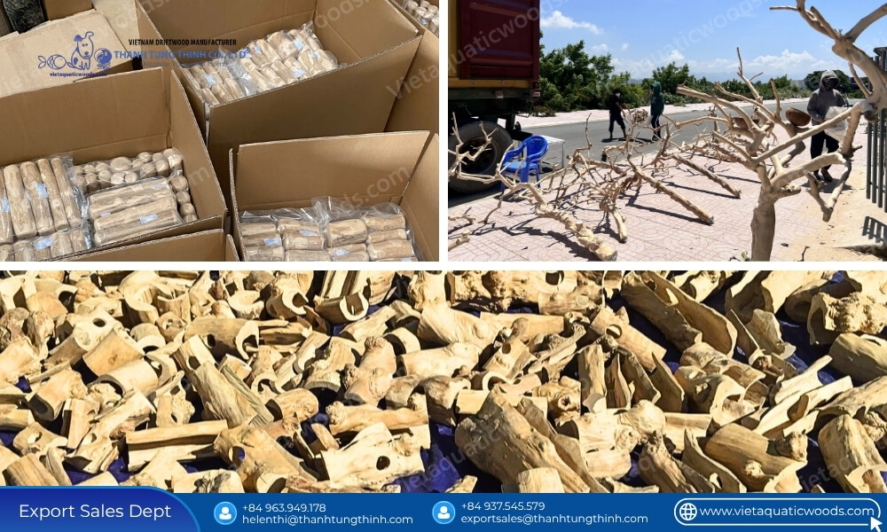 Best #1 Wholesale Pet Supplies Manufacturer In Vietnam