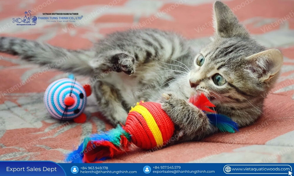 Best Toys for Kittens Aged 8 Weeks to 12 Months: How Wholesalers Can Expand Their Catalog