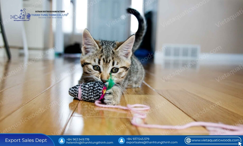 Best Toys for Kittens Aged 8 Weeks to 12 Months: How Wholesalers Can Expand Their Catalog
