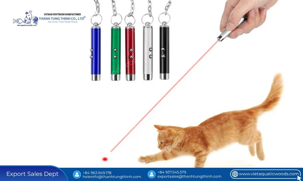 Best Toys for Kittens Aged 8 Weeks to 12 Months: How Wholesalers Can Expand Their Catalog