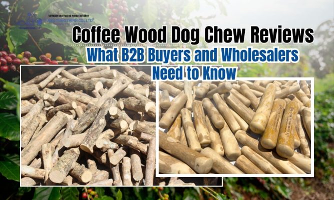 Coffee Wood Dog Chew Reviews: What B2B Buyers and Wholesalers Need to Know