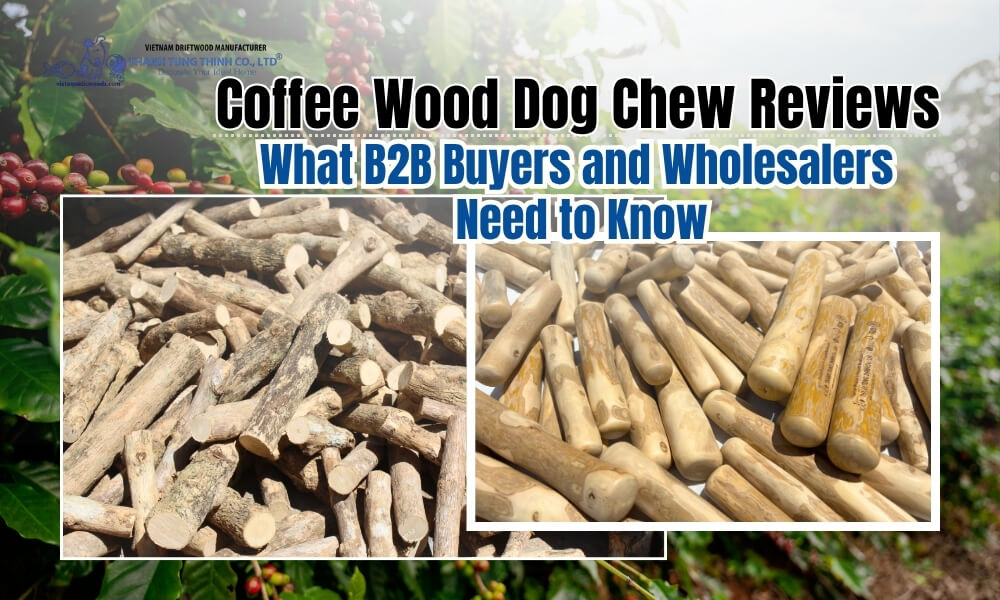Coffee Wood Dog Chew Reviews: What B2B Buyers and Wholesalers Need to Know