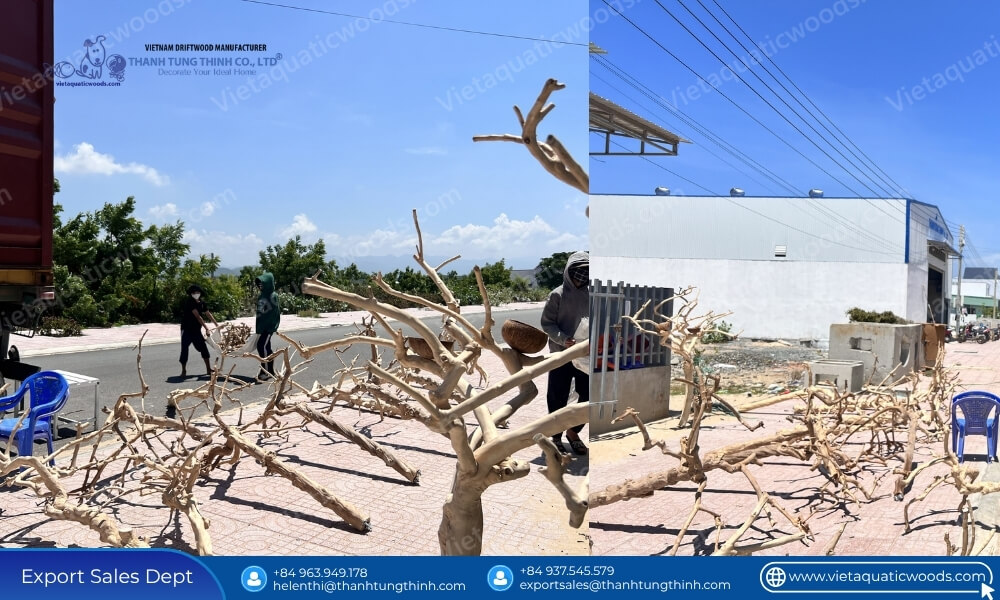 raw material preparation and sun drying showing how coffee wood bird perches differ from ordinary wood supply chains