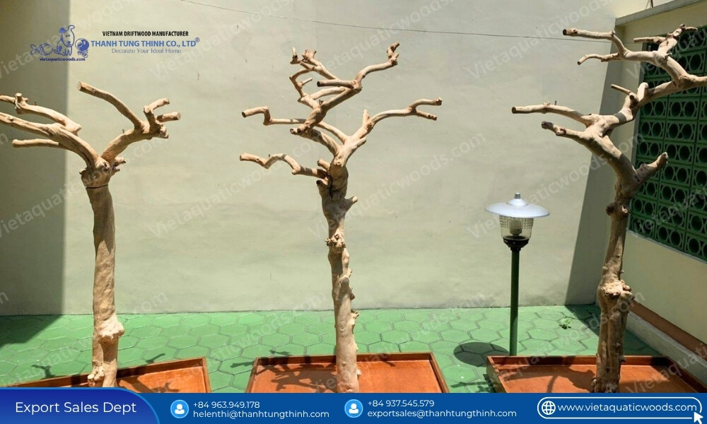 large standing natural branches showcasing why coffee wood bird perches differ from ordinary wood options