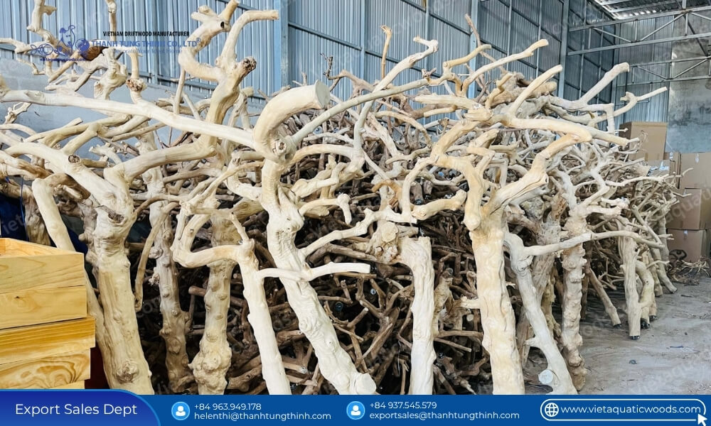 raw timber inventory warehouse showing how coffee wood bird perches differ from ordinary wood material sourcing