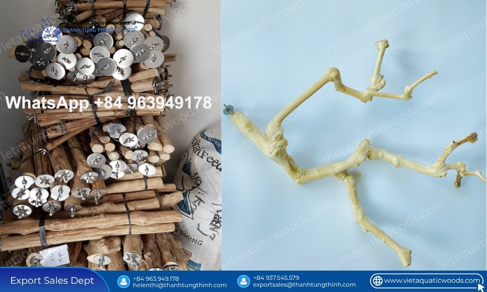 packaged wholesale avian hardware demonstrating how coffee wood bird perches differ from ordinary wood export readiness